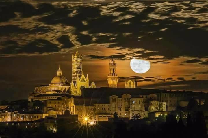 Agriturismo Colombino Siena Zewnętrze zdjęcie